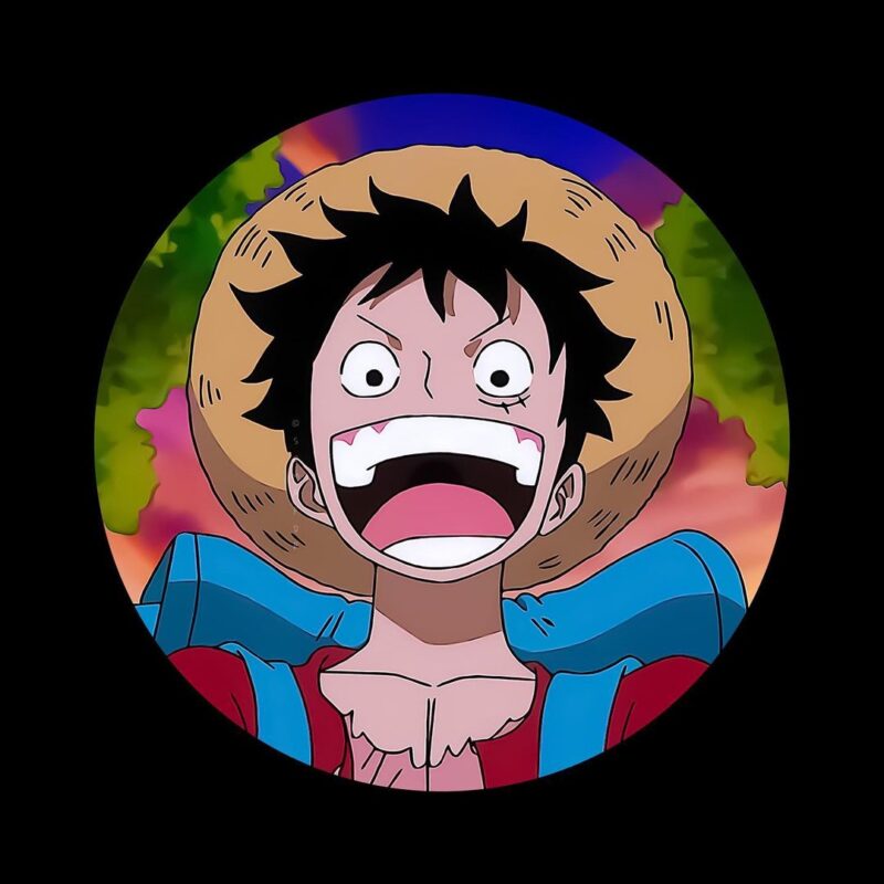 Happy Luffy Pfp